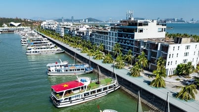 Tạm dừng cấp phép rời cảng đối với tàu khách trên vịnh Hạ Long