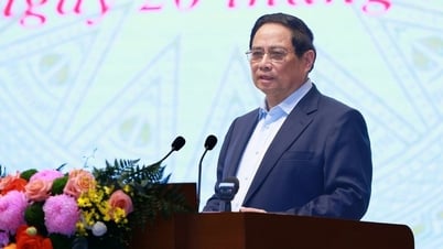 Thủ tướng: Đãi ngộ đặc biệt để thu hút 100 chuyên gia hàng đầu về nước