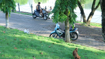 Cần sự vào cuộc của cả cộng đồng