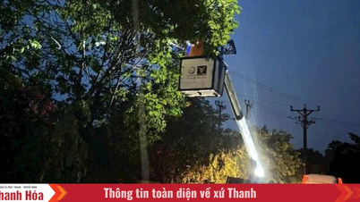 Gần 7.600 khách hàng chờ cấp điện trở lại sau trận mưa dông tối 19/7