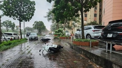 Theo dõi chặt, ứng phó kịp thời bão số 3