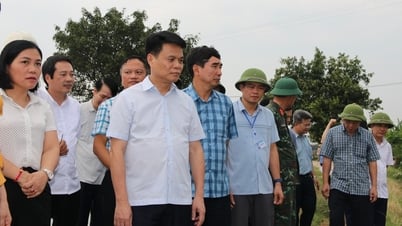 Chủ tịch UBND TP Hải Phòng Lê Ngọc Châu kiểm tra công tác ứng phó với bão số 3
