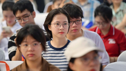 Điểm sàn nhiều trường ở TPHCM đồng loạt giảm