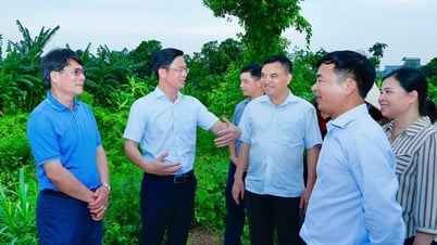 Sẵn sàng huy động sức dân tham gia phòng chống bão số 3