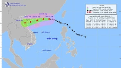 TIN BÃO KHẨN CẤP: CƠN BÃO SỐ 3 Thời tiết vùng biển Vĩnh Long: Nhiều mây, có mưa rào và dông
