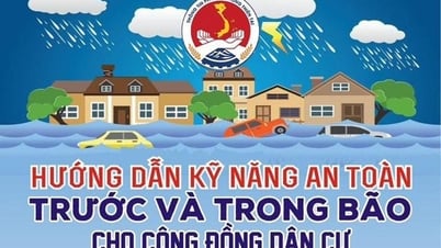 11 hướng dẫn kỹ năng ứng phó với bão số 3 và mưa lũ sau bão