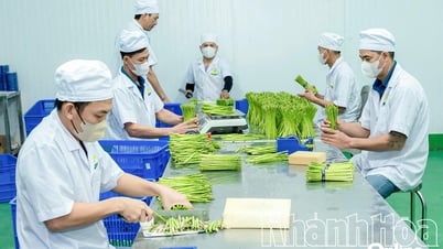 Nông nghiệp Khánh Hòa đón thời cơ mới