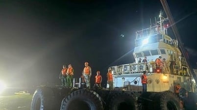 Quảng Ninh: Tìm được thi thể 3 thuyền viên tàu Vịnh Xanh 58, đang xác minh Thuyền trưởng