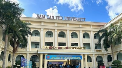 Điểm chuẩn Trường Đại học Nam Cần Thơ 2025
