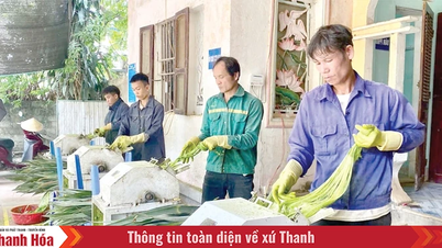 Từ cơ chế, chính sách đến sự đồng thuận