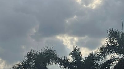 Thời tiết ngày 20/7: Bắc Bộ mưa to cục bộ; bão số 3 giật cấp 14 di chuyển theo hướng Tây Tây Bắc