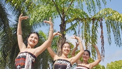 Men nồng tơr’đin trên đỉnh Trường Sơn