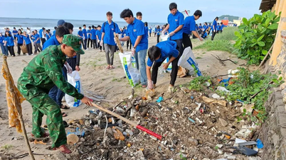 TPHCM: Gần 800 đoàn viên, thanh niên tham gia Ngày Chủ nhật Xanh