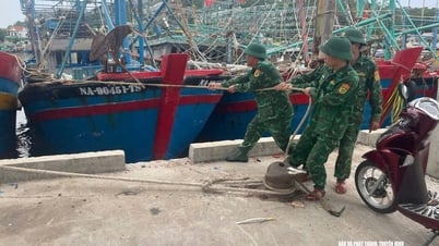 09h ngày 21/7: Bão số 3 wipha đã vào vịnh Bắc Bộ, bắt đầu quá trình mạnh trở lại