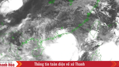 Bộ Y tế yêu cầu sẵn sàng nhân lực, thuốc nhằm ứng phó với bão số 3