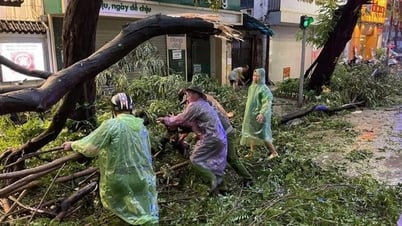 Hà Nội khắc phục ngay tình trạng cây xanh gãy, đổ do ảnh hưởng của trận dông lốc
