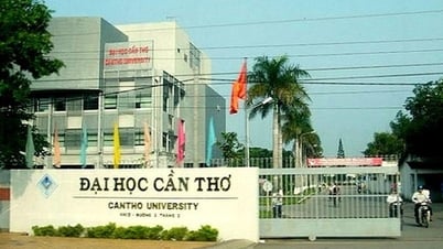 Điểm chuẩn Trường Đại học Cần Thơ 2025