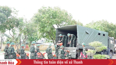 Bộ CHQS tỉnh Thanh Hóa triển khai công tác sẵn sàng ứng phó bão số 3