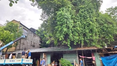 2 hộ dân tại xã Nà Hang đã được di chuyển đến nơi an toàn