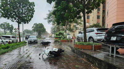 Bộ Văn hóa, Thể thao và Du lịch đề nghị các địa phương tập trung ứng phó với bão số 3