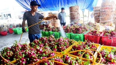 Xuất khẩu đi châu Âu gặp khó vì thiếu chứng nhận an toàn thực phẩm