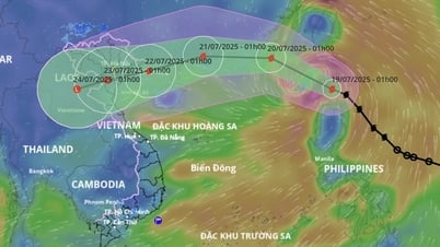 Bão số 3 Wipha trong 24 giờ tới giật cấp 14, sắp vào vịnh Bắc Bộ, cảnh báo mưa lớn và gió mạnh khắp Bắc Trung Bộ