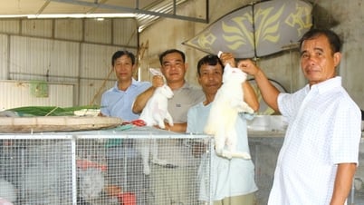Đồng bào Tày, Nùng ra sức phát triển kinh tế