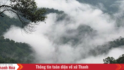 Đỉnh Pù Gió trong mây...