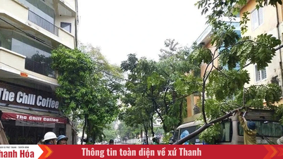 Mưa và gió giật mạnh khiến hàng loạt cây xanh gãy đổ