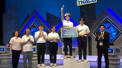 Nam sinh chuyên sinh mang cầu truyền hình Olympia 2025 về Khánh Hoà