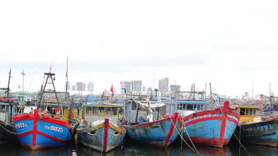 Đà Nẵng huy động toàn lực ứng phó bão số 3 (Wipha)