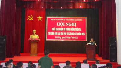 Bộ CHQS TP Hải Phòng: Triển khai lực lượng, phương tiện giúp dân phòng, chống bão Wipha
