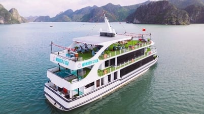 Tạm dừng toàn bộ tour du thuyền Hạ Long để tránh bão