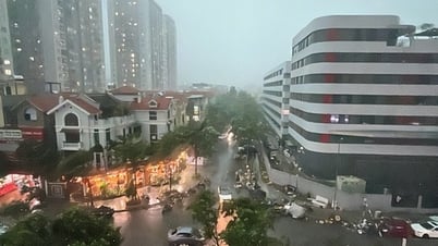 Hơn 29 triệu tin nhắn Zalo cảnh báo khẩn đến người dân trước siêu bão Wipha