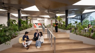 ‘Nóng’ đường đua săn học bổng trường quốc tế tại Việt Nam