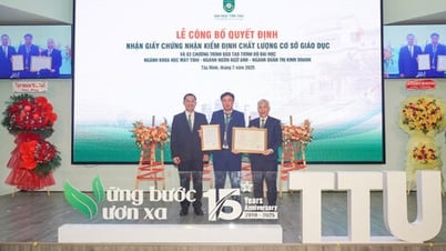 Trường Đại học Tân Tạo đạt chuẩn Kiểm định chất lượng Cơ sở Giáo dục và ba chương trình đào tạo