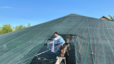 High-tech shrimp farming - smart investment, high profits.