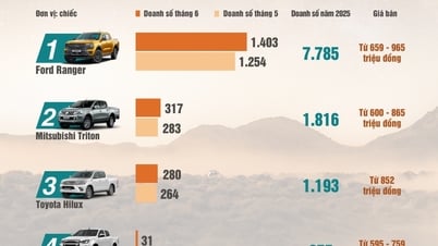 Top xe bán tải bán chạy nhất thị trường Việt Nam tháng 6/2025: Nhiều mẫu tăng doanh số
