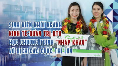 SV Khối ngành Kinh tế-Quản trị DTU học chương trình 'nhập khẩu', vô địch các cuộc thi lớn
