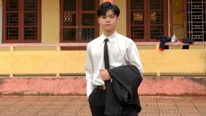 Thủ khoa A00 tỉnh Thanh Hóa: Dùng AI để tra cứu lý thuyết