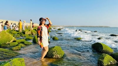 Mở lối du lịch từ biển xanh đến đại ngàn