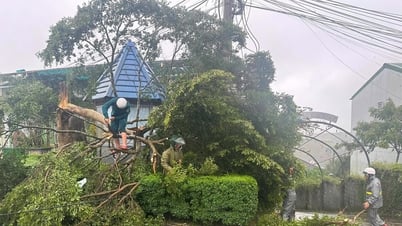 Lâm Đồng khẩn trương ứng phó với bão số 3