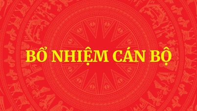 Đúng quy trình, đủ tiêu chuẩn - Vì sao bổ nhiệm... vẫn sai?-Bài 4: Đánh giá cán bộ, còn những biểu hiện chưa thực chất