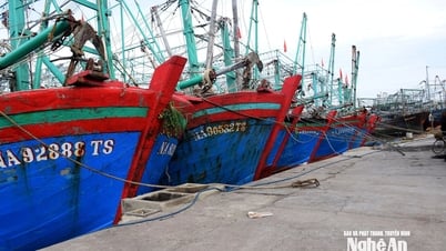 Bão số 3 (bão Wipha): Nghệ An cấm tất cả các loại tàu thuyền và phương tiện vận tải ra khơi từ 5h sáng ngày 21/7