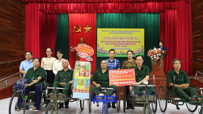Đoàn đại biểu TPHCM thăm và trao quà thương binh, bệnh binh tại Ninh Bình và Bắc Ninh