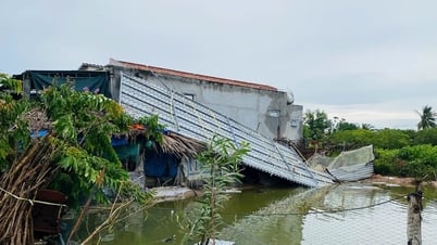 Lâm Đồng: Đảm bảo an toàn cho du khách trong thời điểm bão số 3 (bão Wipha)
