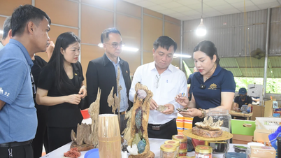 Cơ hội vươn tầm cho sản phẩm địa phương