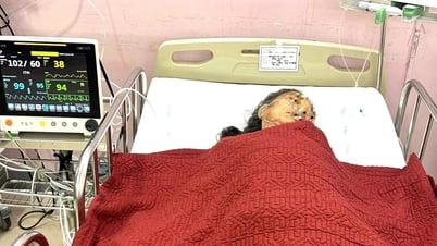 10 người nhập viện nghi ngộ độc thực phẩm sau khi ăn đám giỗ