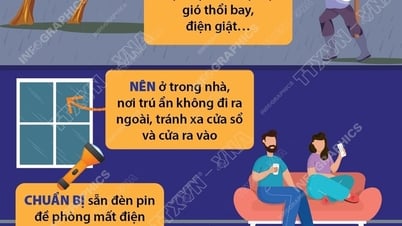 Các biện pháp phòng tránh khi bão đổ bộ