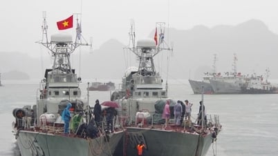 Hải quân chủ động ứng phó bão Wipha trên vùng biển Hải Phòng, Quảng Ninh